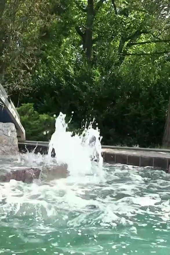 Jenny Simons e Lucy Li comem buceta na piscina privada