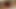 Seksi öğrenci daisy gets becerdin içinde gözaltı