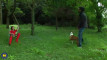 Pregled videozapisa