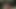 Sucking older man's cock and eating his cum