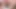 Anal Toy Marathon - 1.13.2023