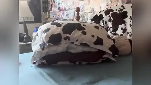 Fresh Sheets