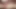 Pale skin ladyboy in leopard print lingerie plays with her