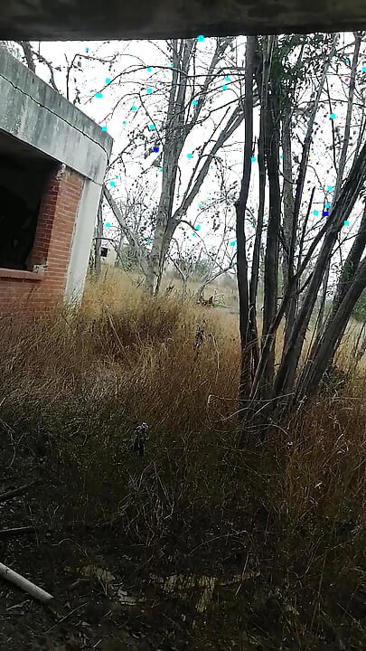 À la recherche d’une bite