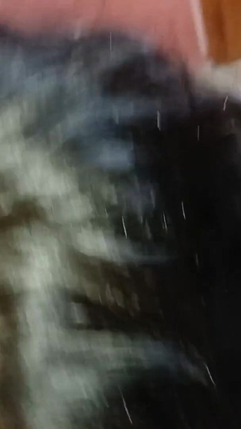 ब्लैक फ्राइडे विशेष गर्म मुख-मैथुन कभी | क्लिप 1