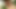 Latin Teink Daisy Chain Raw Threesome
