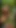 I fuck my friend in the bush when we were alone on a hike