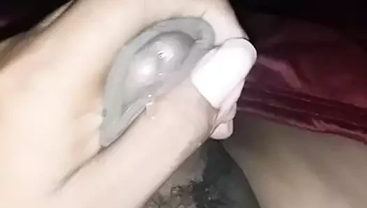 Cat67