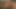 Hardcore, rohe Sex-Action im Freien mit zwei reifen schwulen Typen