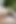 Outdoor Anal Play with Dildo in the Forest