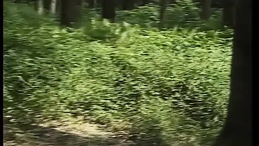 Classy German Lady Got Fucked in Thee Park