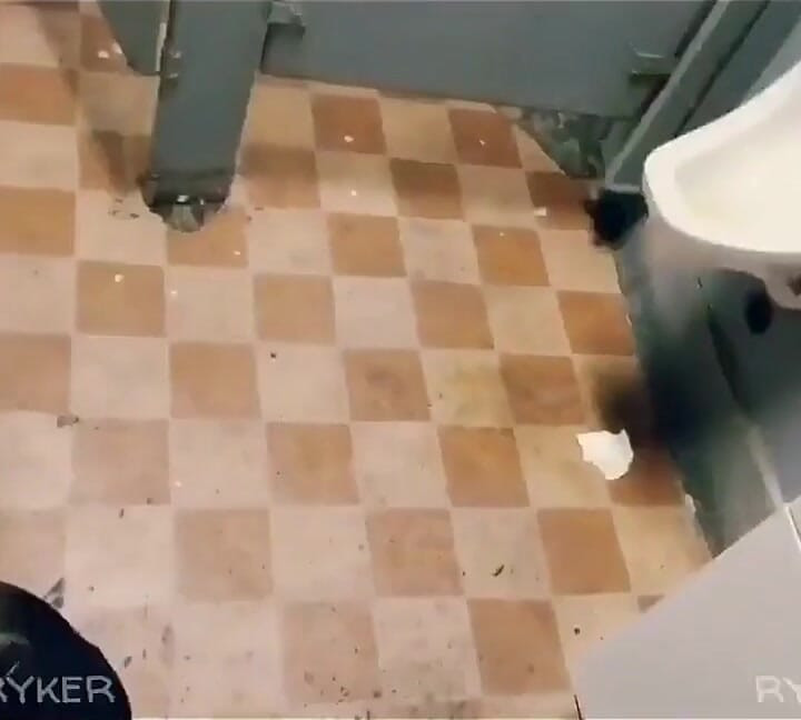 Sucking Big Cock Compilation