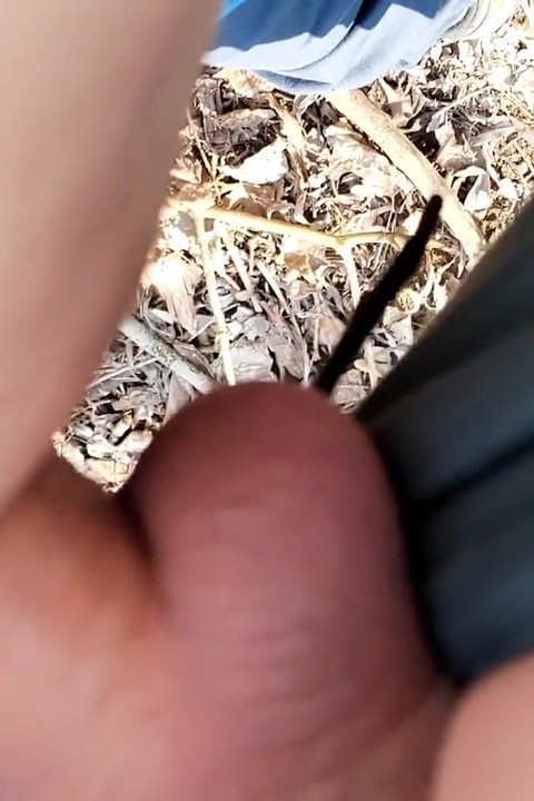 Chilling Fucking in the Woods - Cumming Inside Friend