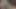 Hot Close-Up Cumshot From Big Cock With Pre-Cumshot That Drizzled A Lot Of Sperm Again