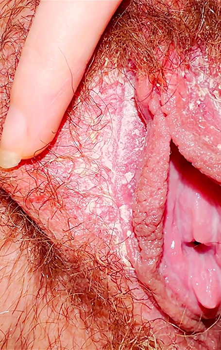 Creamy Pussy in Close-up.