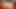 Rule34 Amanda в бикини у бассейна, 3D анимация - массаж стонов с большими сиськами, лизание киски крупным планом, трах пальцами тугой киски, сквирт