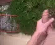 exter2