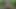 MİLF karısı yanıp sönen