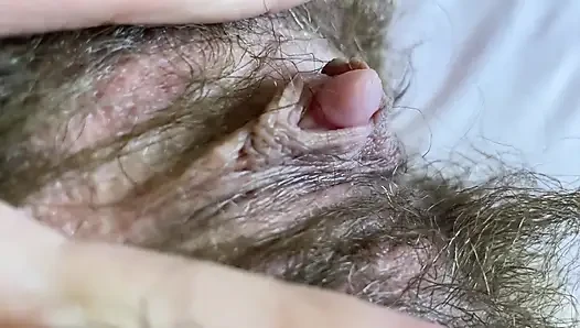 Kompilasi memek berbulu baru