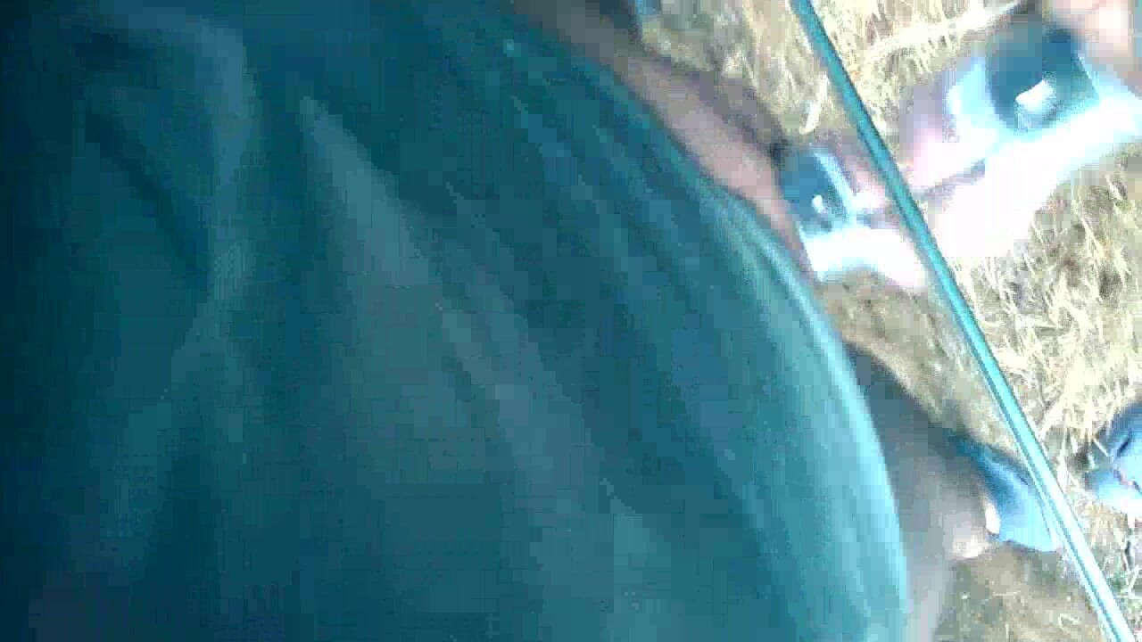 Testicles against sheet metal