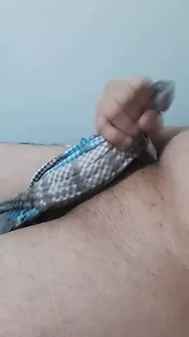Hide Cock