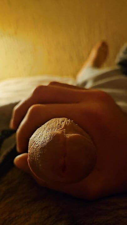 Cock Inspection