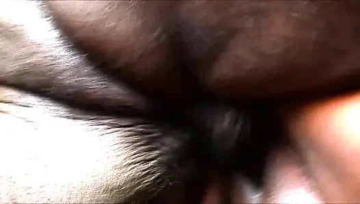 Стук стук чемпиона здесь