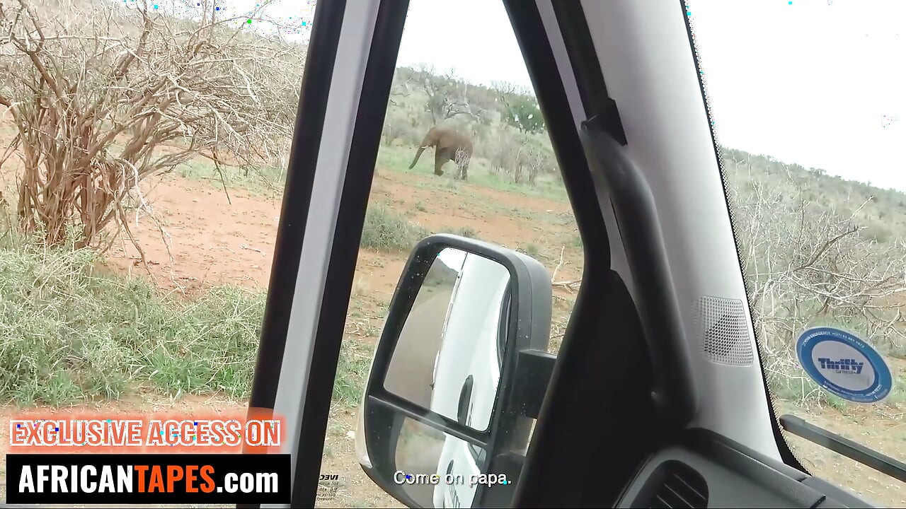 Ne vahşi bir yolculuk... sevimli esmer kız arkadaşım ile yaptığımız gezi bol outdoor eğlence ve her yerde sikilmekle geçti