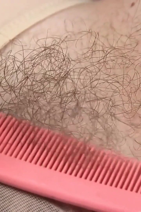 ヘアリー・ファン