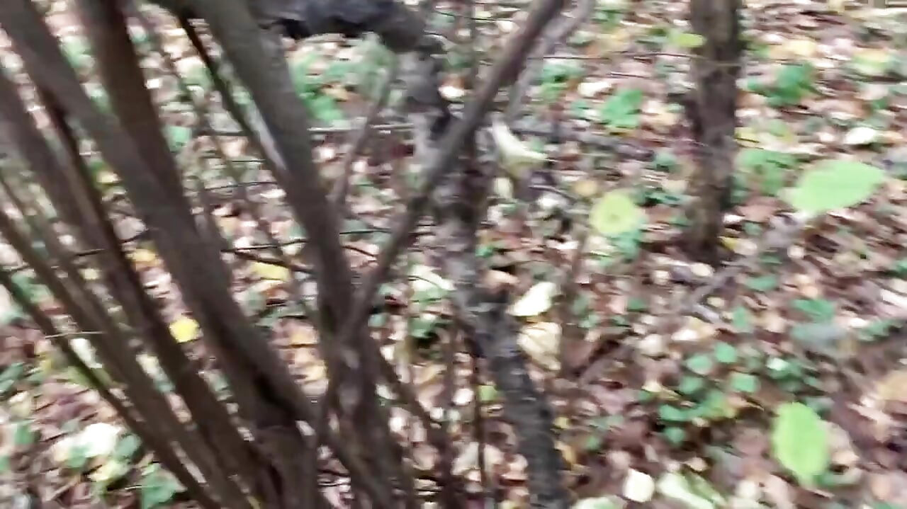Blonde in the Forest Fucks Standing up with a Stranger on Camera