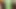 Green , for a long time
