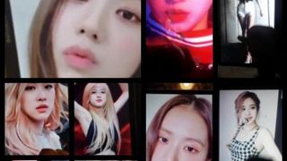 Blackpink cum tributo compilação de música mv