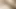 BUSTY TIKTOK REVEAL