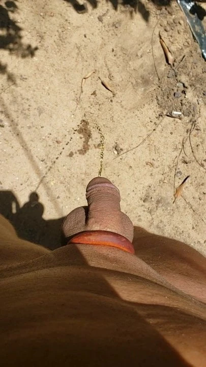Sunny Pee
