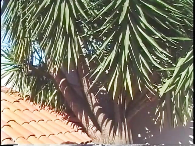 Busty shemale with long cock knows pretty well how to ride outdoors