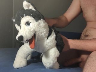 shooting a load on my plush husky's face
