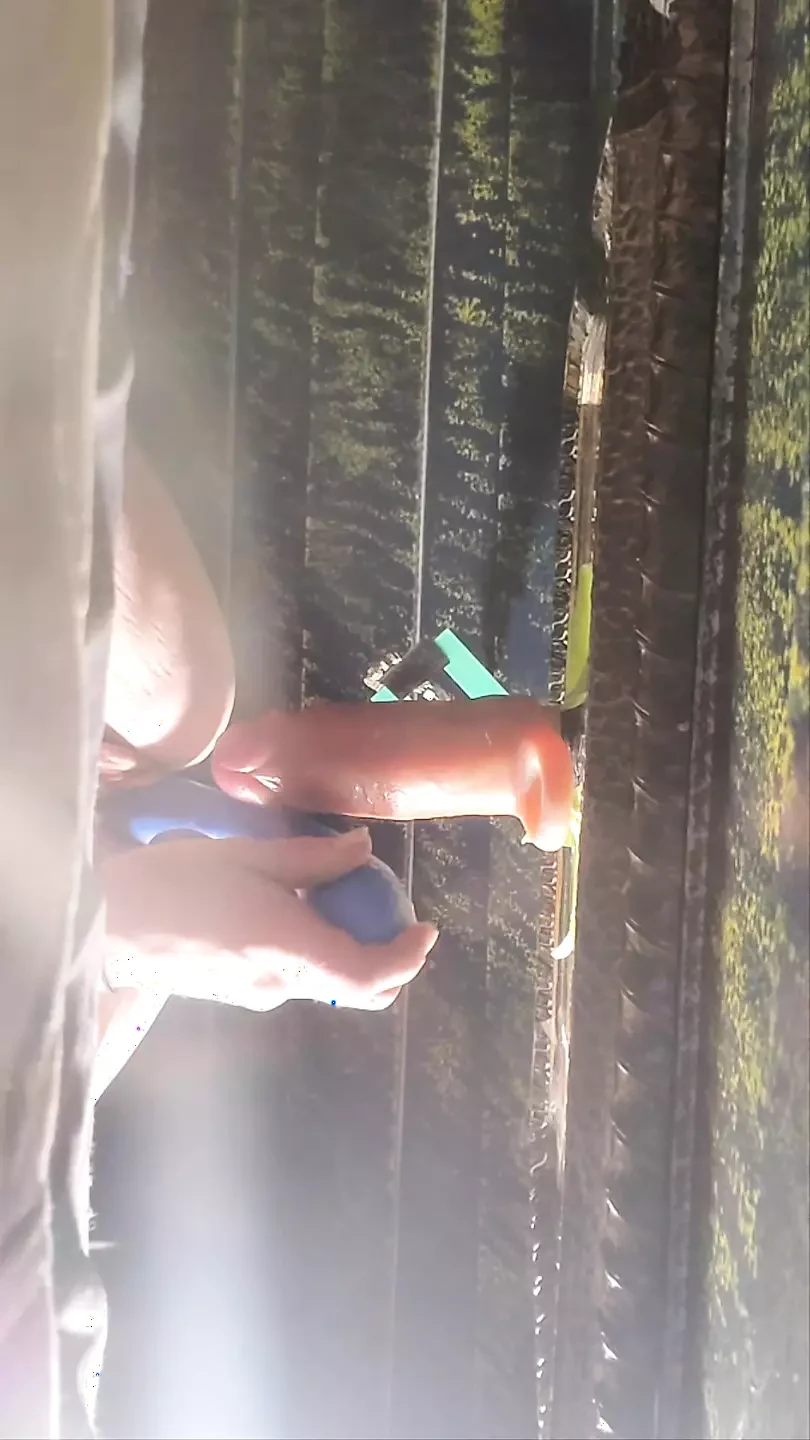 A little vibrator and a dildo