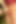 Erotica: Girl with Tight Ass Takes Big Cock in the Pussy in the Forest - Episode 9