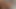Öğrenci yurduna seksi ziyaret! deliğinin sikilmesini sağlıyor!