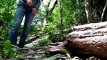 Pratinjau video