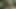 Twink with Long Hair Gets Deep Anal Fuck Outdoor in the Forest