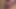 Hund masturbiert wieder zu Pornovideo