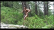 Pratonton Video