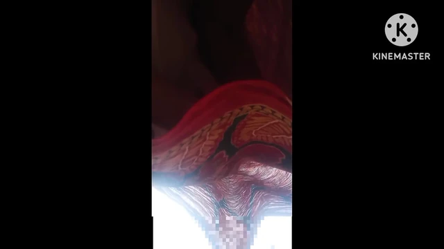 Newly married Bhabhi  for the hardcore sex