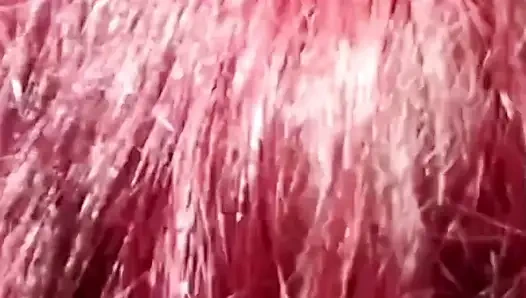 I film my friend getting sucked by a stranger