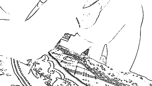 Büyük amcık teyze