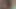 Secret Sex Society (2018)