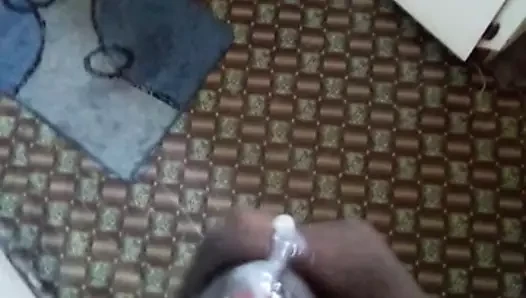 Lejon kankam