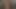الحمار للأيام 5-3