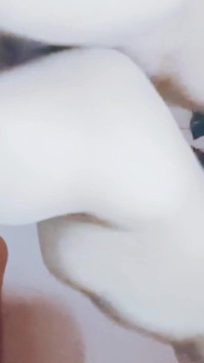 Must-see moment from "Hard sex full fucking cum in pussy"